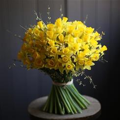 Daffodils